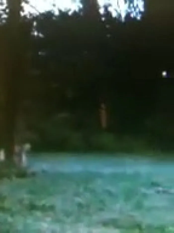 A pixelated image of a faint, light-colored figure in a dark wooded area, an eerie visual from videos of ghosts.