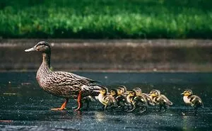 65 Random Fun Facts That Might Make Your Day