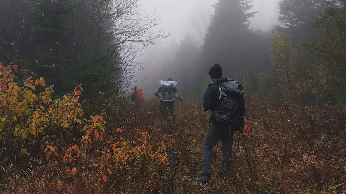 57 Terrifying “We Need To Leave Now” Moments That Still Haunt People Today