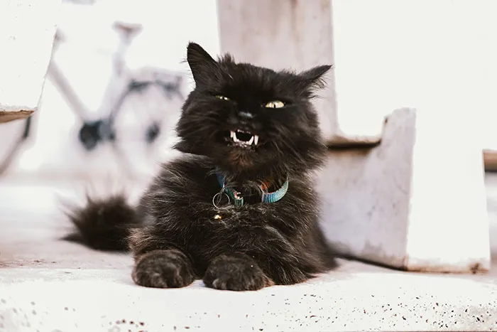 54 Mind-Boggling Facts From History That Deserve A Permanent Place In Textbooks