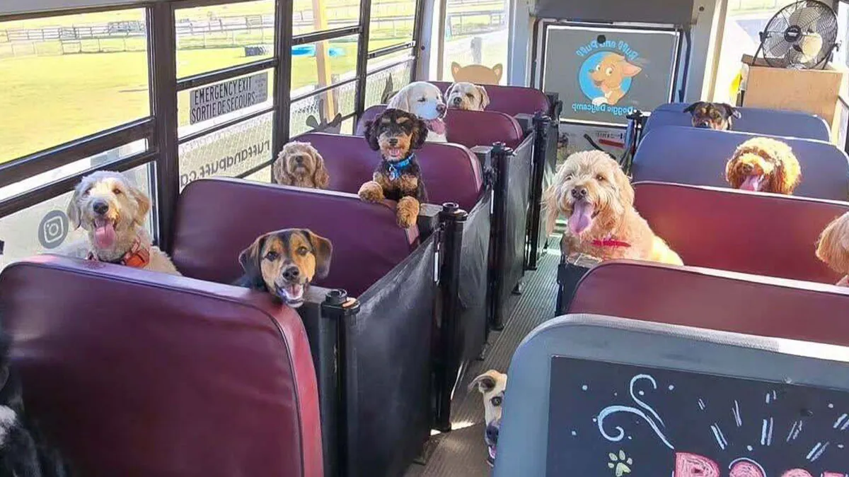 80 Wholesome Posts For Your “Daily Dose Of Aww”