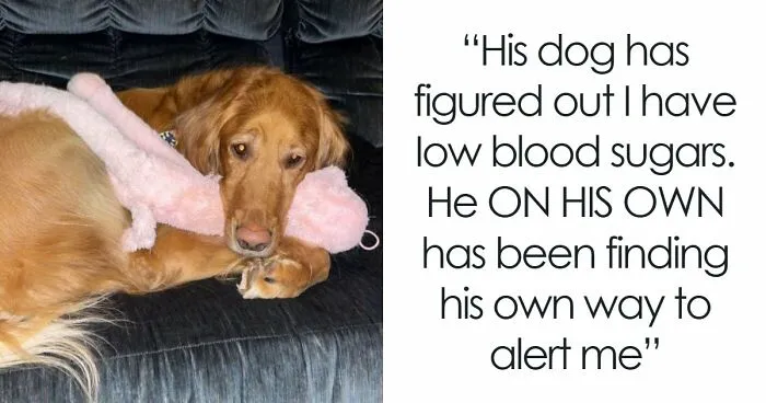 80 Wholesome Posts For Your “Daily Dose Of Aww”