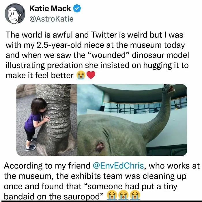 Screenshot of Katie Mack's wholesome online post about her niece hugging a wounded dinosaur model at a museum.