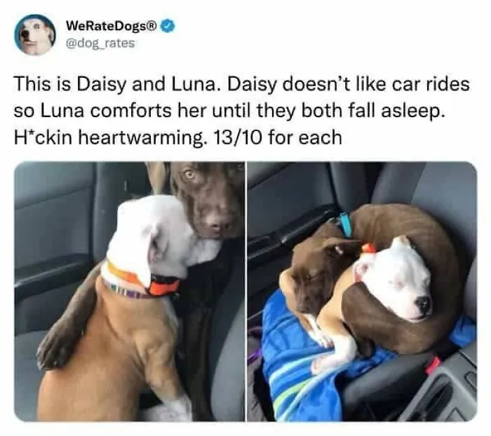79 Times People Had Each Other's Backs In The Most Wholesome Ways