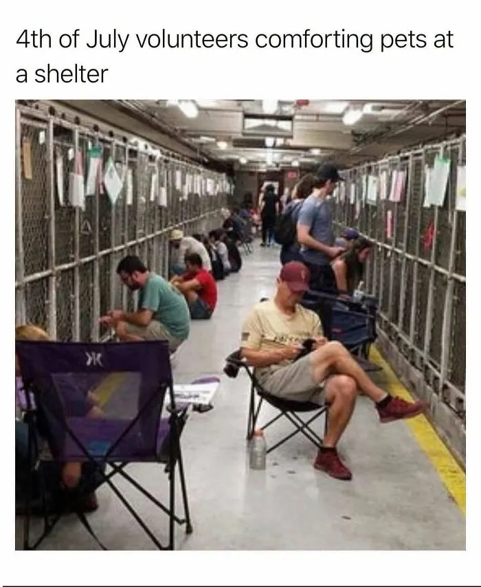 Wholesome-Posts-Worth-Seeing
