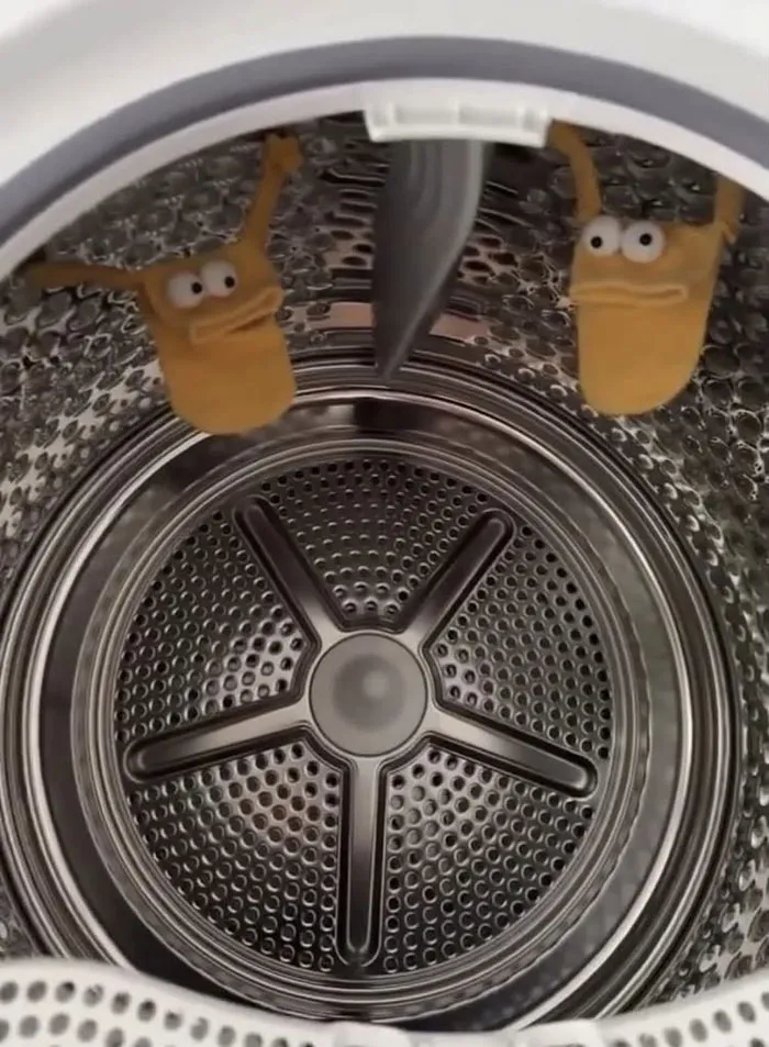 Volví al cuarto de lavado buscando mis calcetines perdidos... y encontré esto. Olvidé por completo que estos pequeños tienen manos magnéticas, así que se quedan pegados unos a otros.