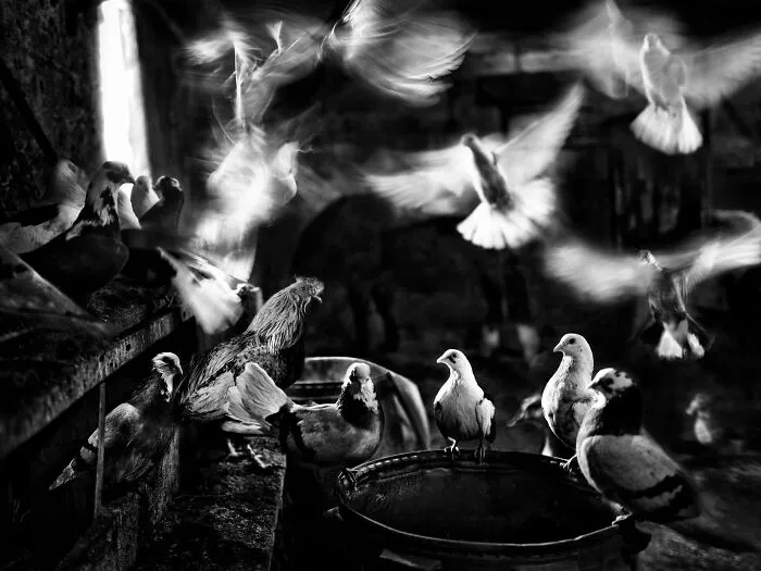 This Photographer Captured The Beauty Of Europe’s Disappearing Countryside Traditions (19 Pics)