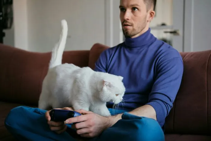 A man plays video games with a white cat on his lap, symbolizing an ick men give partners.