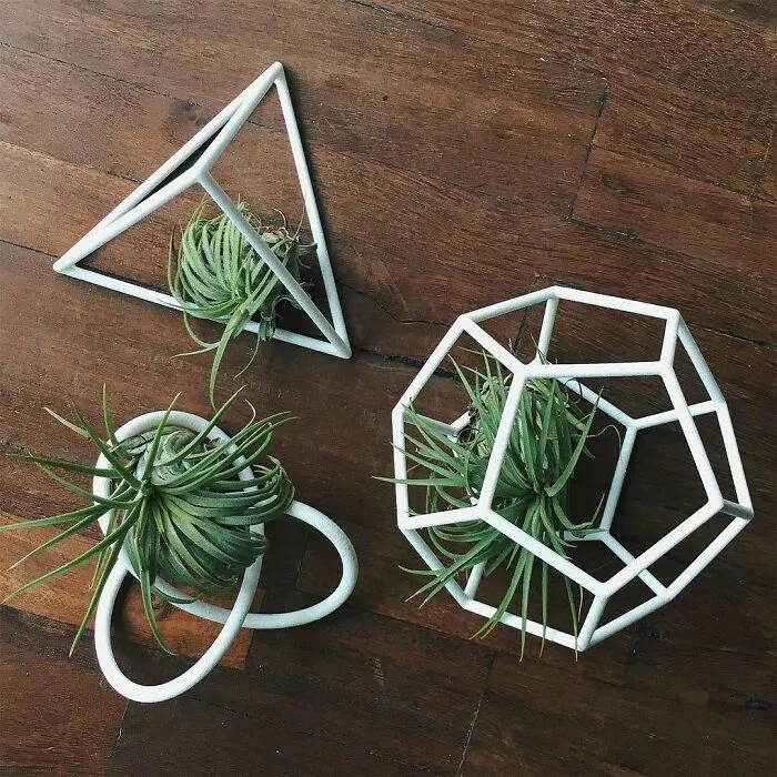 Three geometric white 3D printing plant holders with air plants, showcasing amazing creations in home decor.