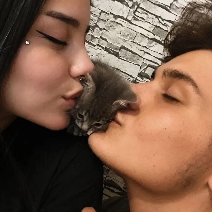 “Important Animal Images” Shared 33 New Cat Pics Full Of Chaos, Cuteness, And Comedy