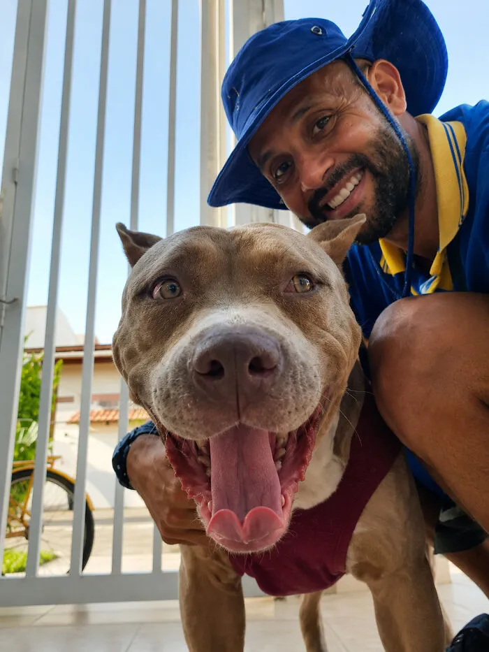 Instead Of Barking, These Dogs Rush To Greet Their Favorite Mailman (24 New Pics)