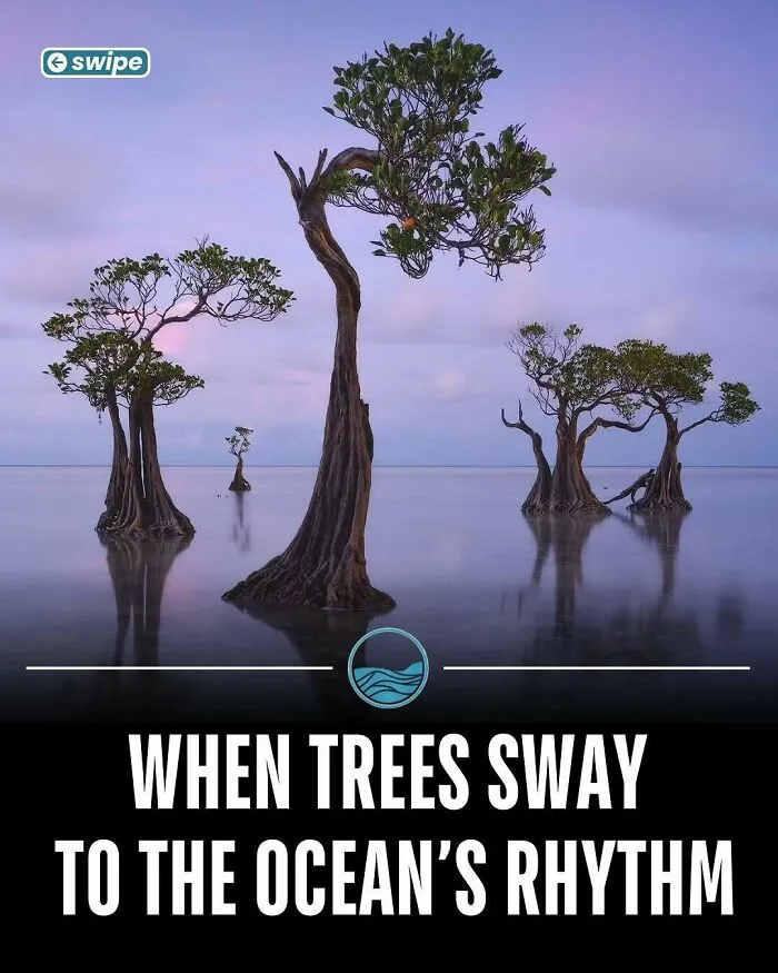 81 “Unseen Facts” Facts That Are Surprisingly Fun To Learn