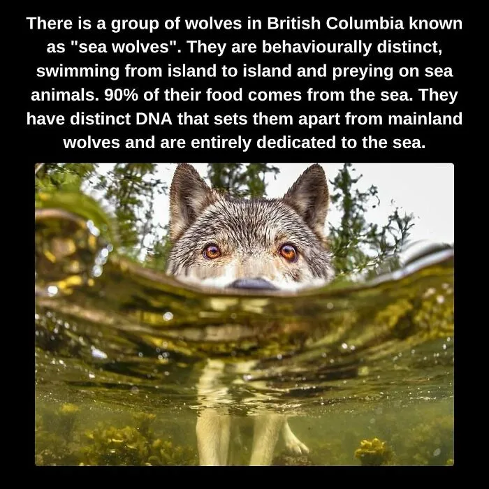 81 “Unseen Facts” Facts That Are Surprisingly Fun To Learn