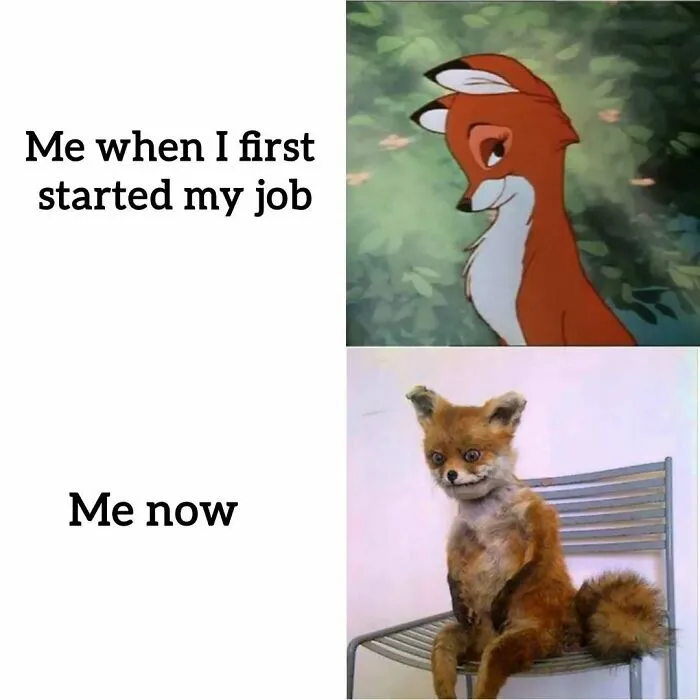 34 Hilarious Work Memes For Anyone Who Has Ever Had A Job