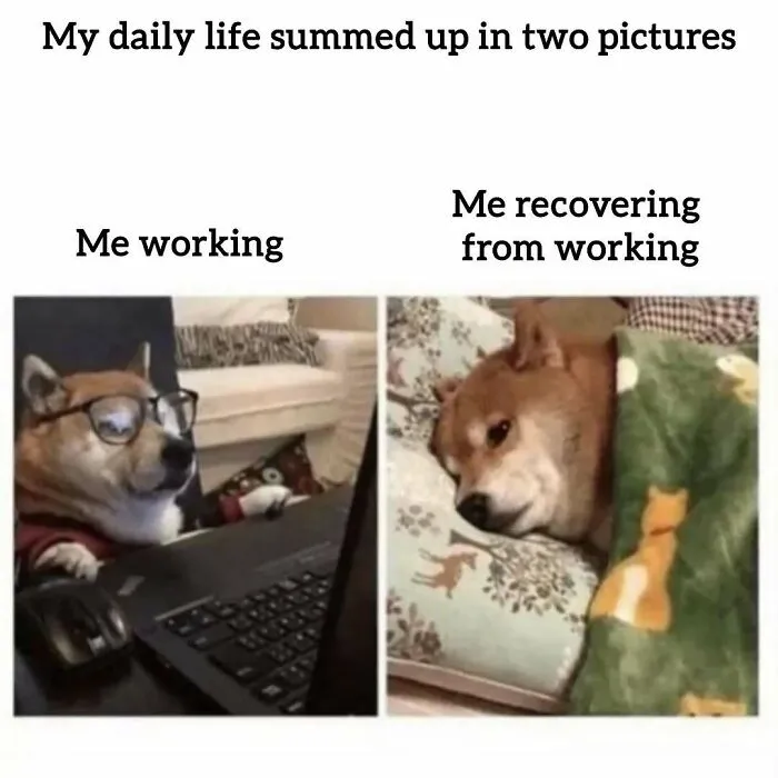 34 Hilarious Work Memes For Anyone Who Has Ever Had A Job