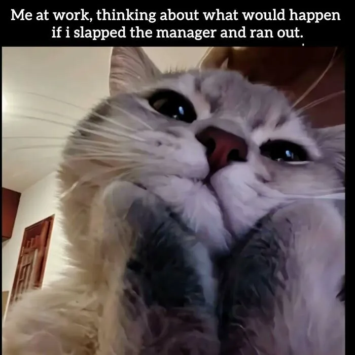34 Hilarious Work Memes For Anyone Who Has Ever Had A Job
