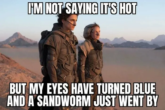 62 Funny Memes For People Who Feel Personally Attacked By The Sun