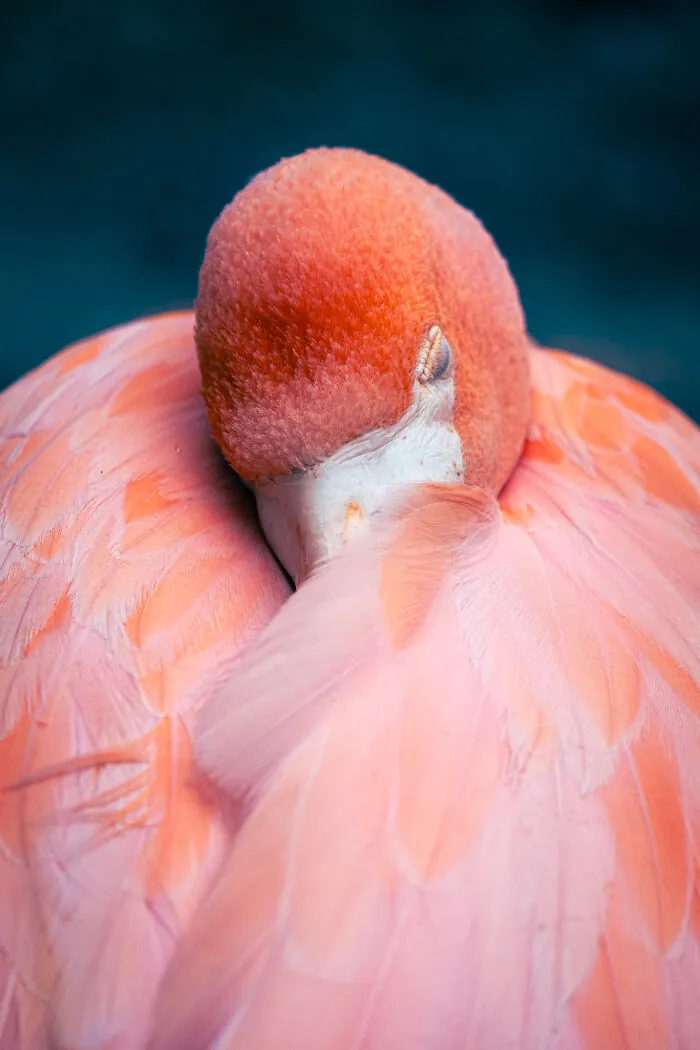 35 Nature Portraits That Celebrate The Beauty, Diversity, And Character Of The Natural World