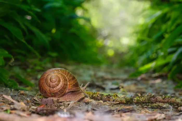 35 Nature Portraits That Celebrate The Beauty, Diversity, And Character Of The Natural World
