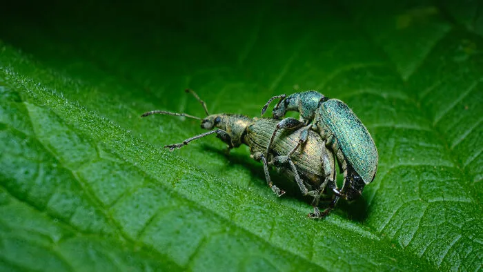 35 Nature Portraits That Celebrate The Beauty, Diversity, And Character Of The Natural World