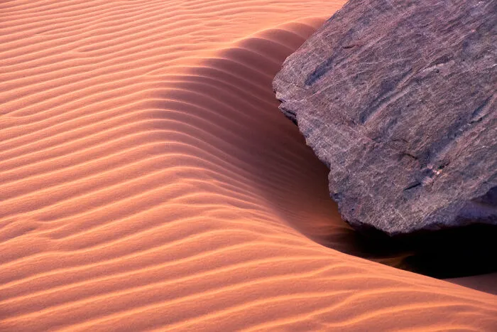 35 Nature Portraits That Celebrate The Beauty, Diversity, And Character Of The Natural World