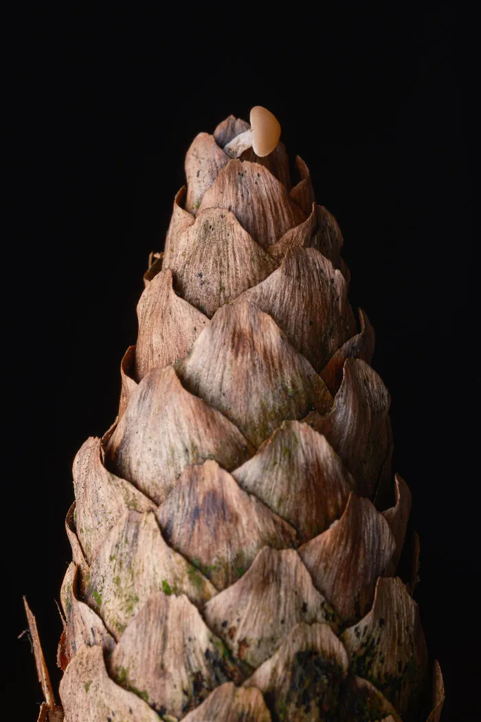 35 Nature Portraits That Celebrate The Beauty, Diversity, And Character Of The Natural World