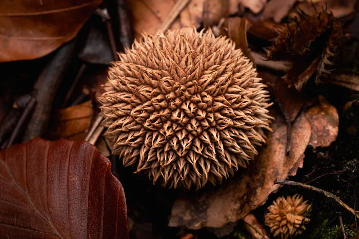 35 Nature Portraits That Celebrate The Beauty, Diversity, And Character Of The Natural World