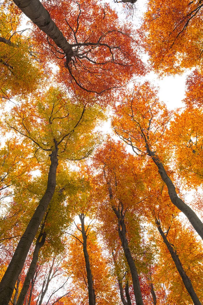 35 Nature Portraits That Celebrate The Beauty, Diversity, And Character Of The Natural World