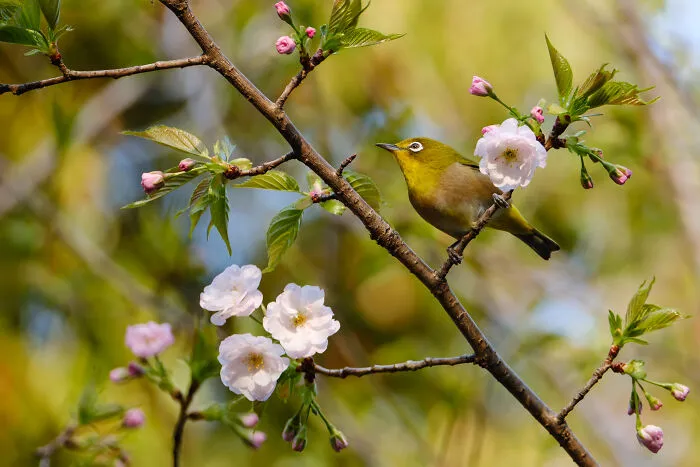 35 Nature Portraits That Celebrate The Beauty, Diversity, And Character Of The Natural World