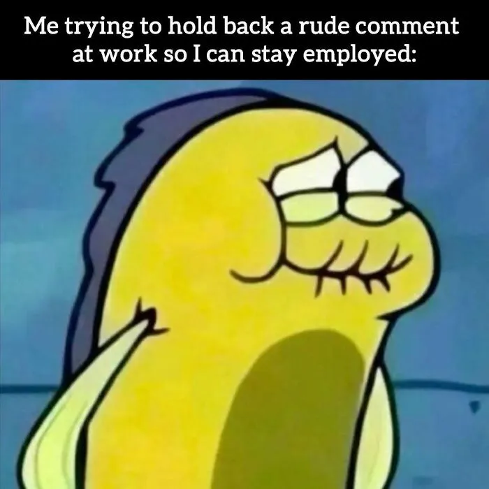 34 Hilarious Work Memes For Anyone Who Has Ever Had A Job