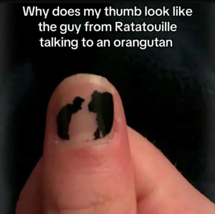 59 Funny And Dumb Screenshots That Show How Weird People On The Internet Can Be