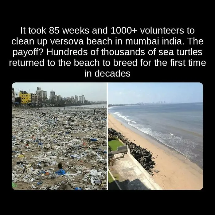 81 “Unseen Facts” Facts That Are Surprisingly Fun To Learn