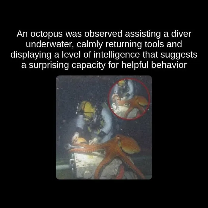 81 “Unseen Facts” Facts That Are Surprisingly Fun To Learn