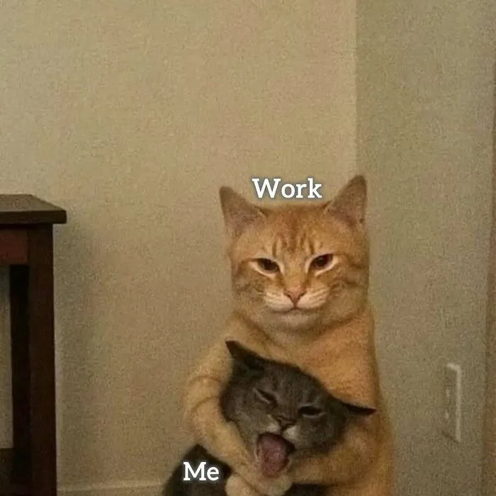 34 Hilarious Work Memes For Anyone Who Has Ever Had A Job