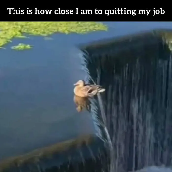 34 Hilarious Work Memes For Anyone Who Has Ever Had A Job