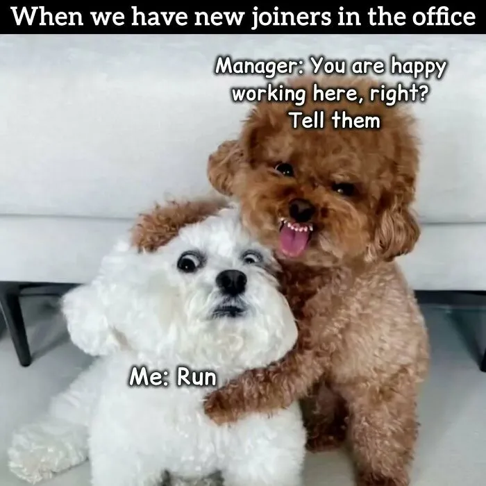 34 Hilarious Work Memes For Anyone Who Has Ever Had A Job