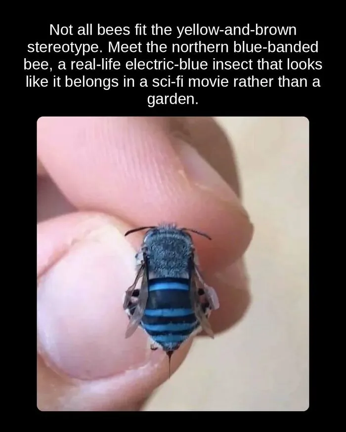 81 “Unseen Facts” Facts That Are Surprisingly Fun To Learn