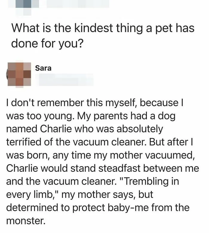 The Monster Protection