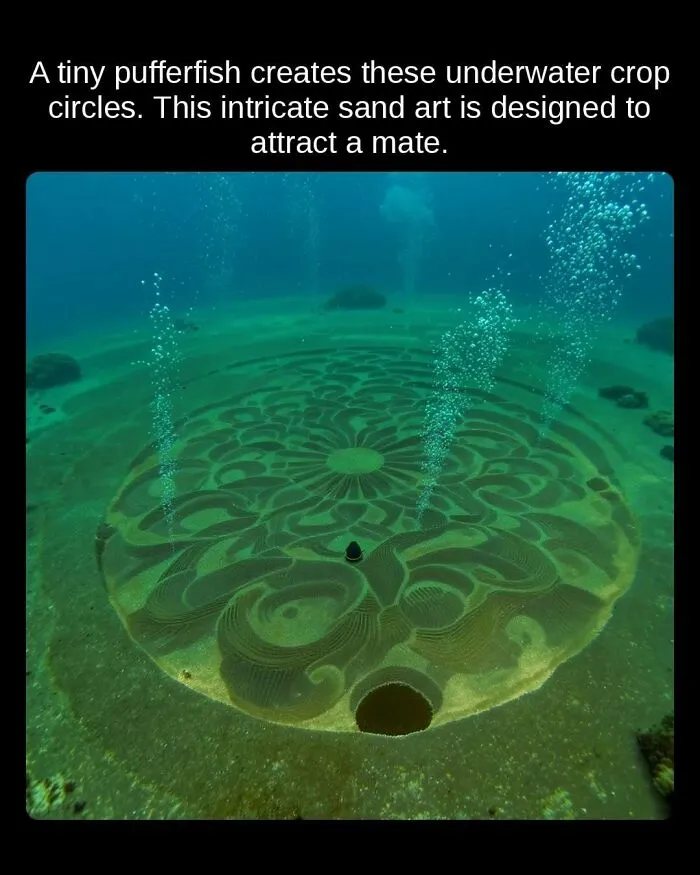 81 “Unseen Facts” Facts That Are Surprisingly Fun To Learn