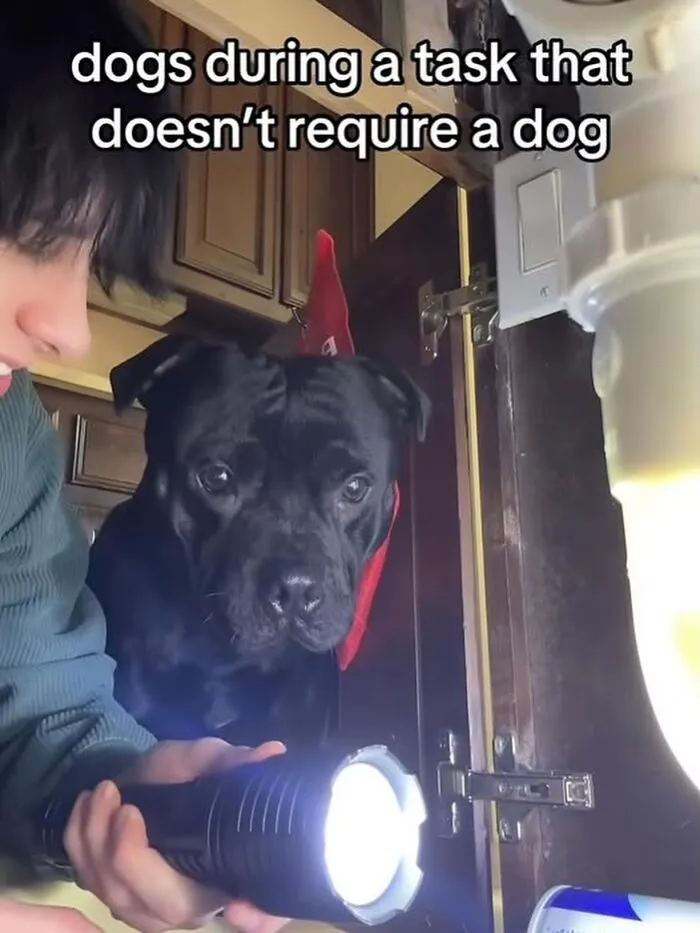 Extremely-Dumb-Funny-Screenshots