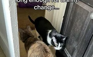 59 Funny And Dumb Screenshots That Show How Weird People On The Internet Can Be