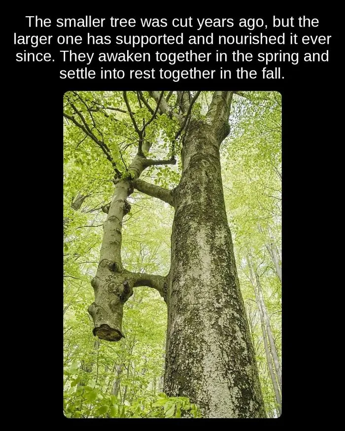 81 “Unseen Facts” Facts That Are Surprisingly Fun To Learn