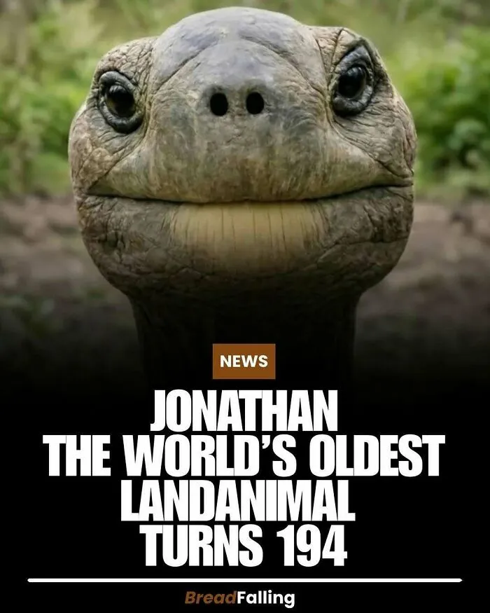 63 Mind-Blowing Facts That Sound Made Up But Aren't