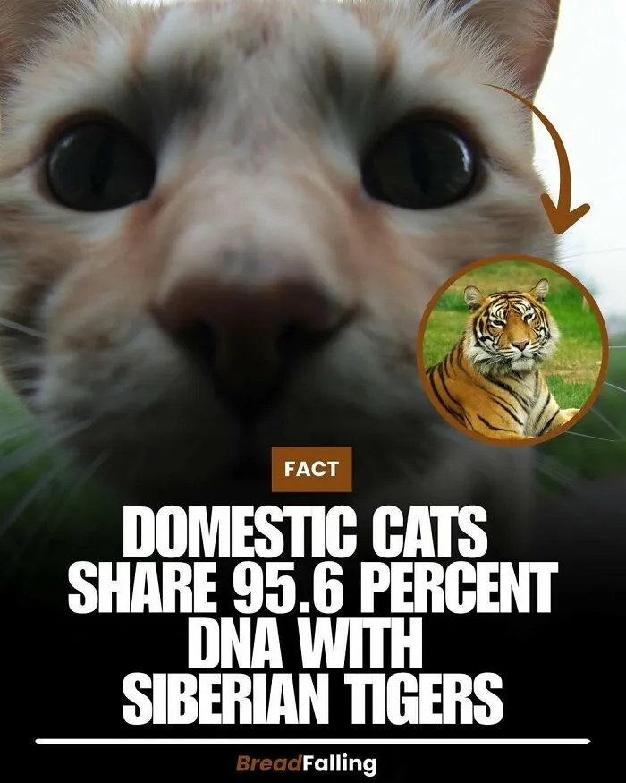 Interesting-Facts-World