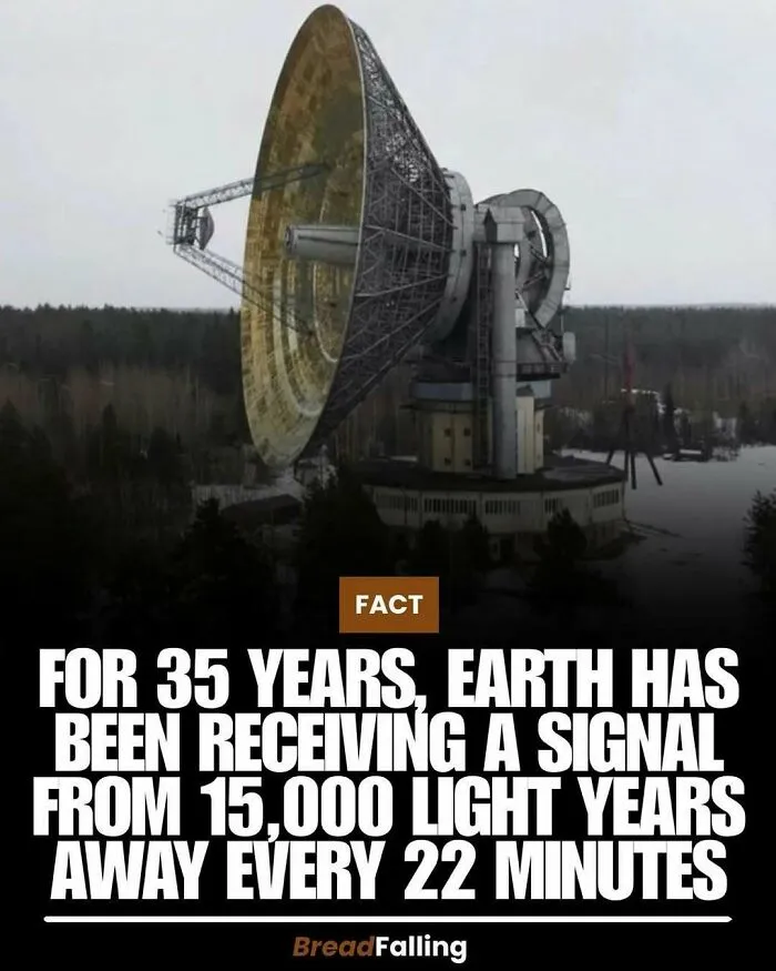 63 Mind-Blowing Facts That Sound Made Up But Aren't