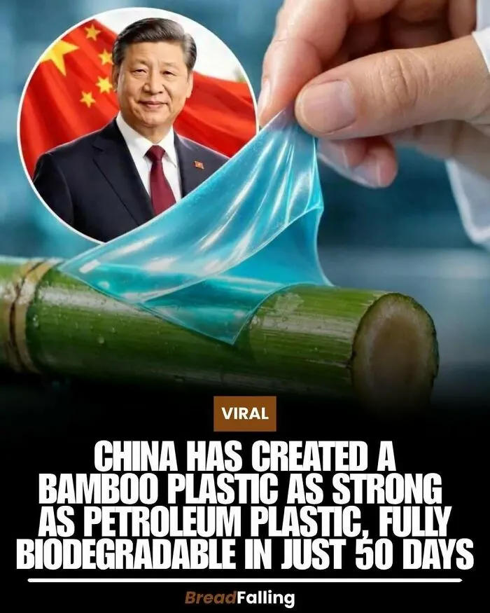 Interesting-Facts-World