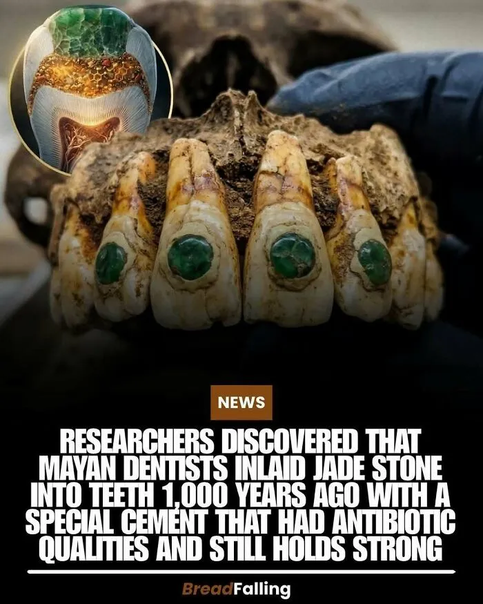 63 Mind-Blowing Facts That Sound Made Up But Aren't