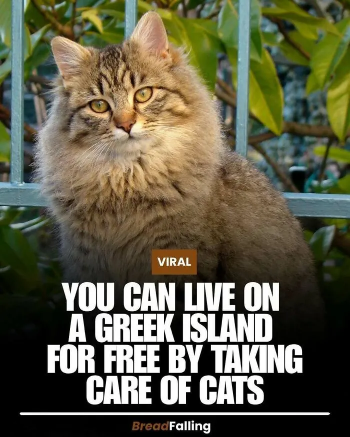 63 Mind-Blowing Facts That Sound Made Up But Aren't