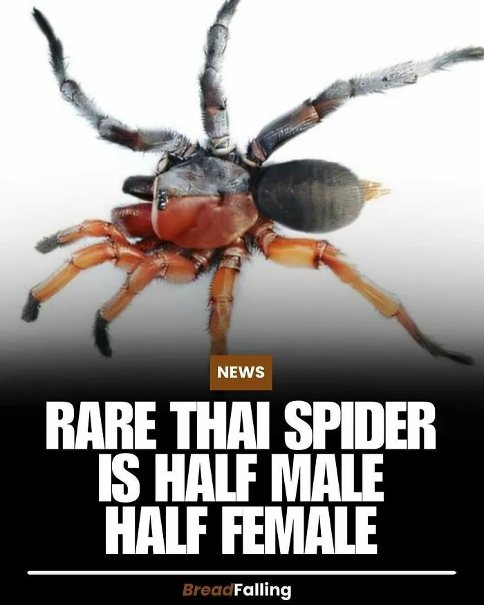 Interesting-Facts-World