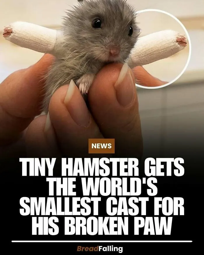 63 Mind-Blowing Facts That Sound Made Up But Aren't